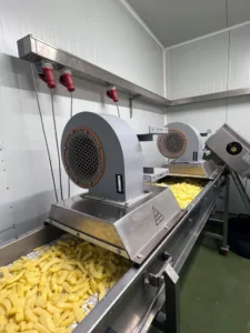 Máquina de procesado de patatas, pelado y corte